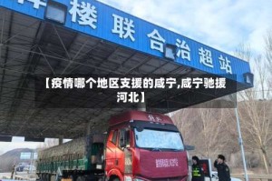 【疫情哪个地区支援的咸宁,咸宁驰援河北】