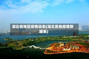 湖北各地区疫情动态(湖北各地疫情数据表)