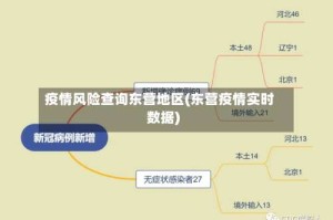 疫情风险查询东营地区(东营疫情实时数据)