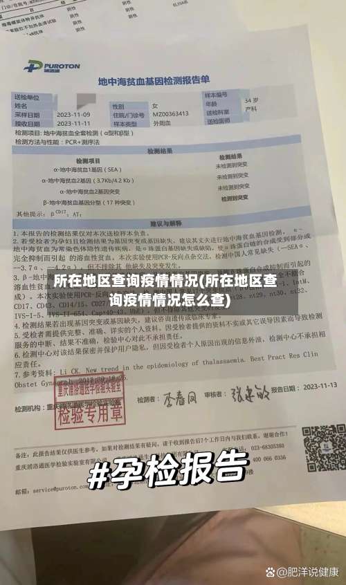 所在地区查询疫情情况(所在地区查询疫情情况怎么查)-第3张图片