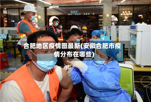 合肥地区疫情图最新(安徽合肥市疫情分布在哪些)-第2张图片