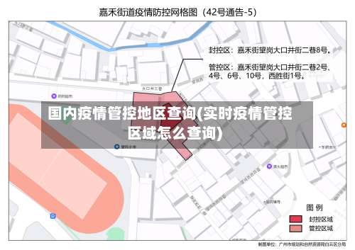 国内疫情管控地区查询(实时疫情管控区域怎么查询)-第2张图片